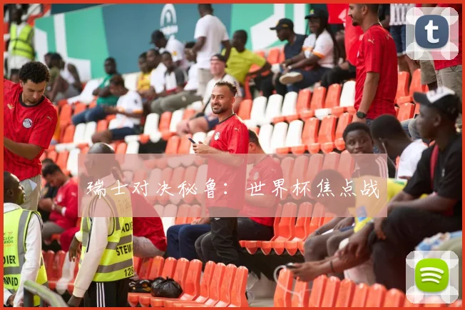 瑞士对决秘鲁：世界杯焦点战