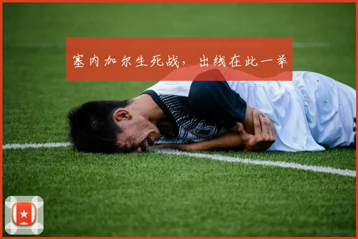 塞内加尔生死战,出线在此一举
