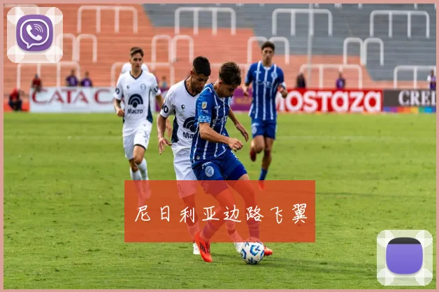 尼日利亚边路飞翼