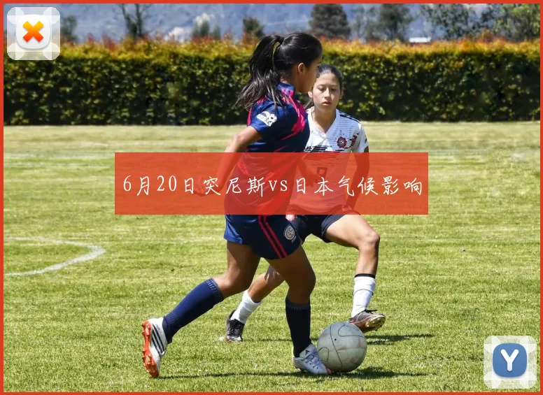 6月20日突尼斯vs日本气候影响