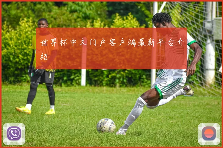 世界杯中文门户客户端最新平台介绍