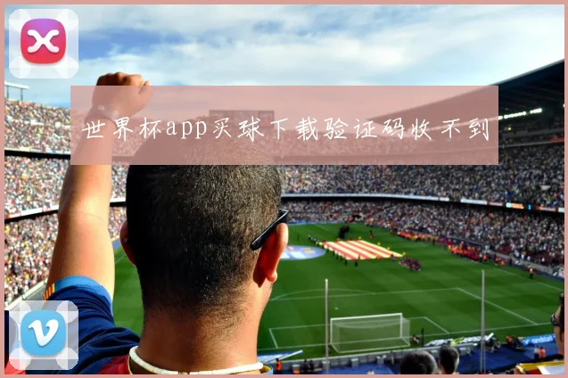 世界杯app买球下载验证码收不到