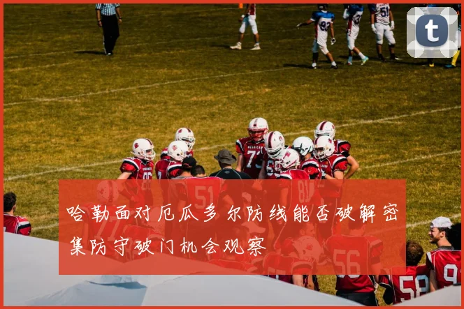 哈勒面对厄瓜多尔防线能否破解密集防守破门机会观察